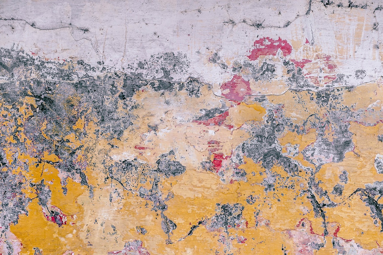 How to Create a Textured Wall Finish with Paint